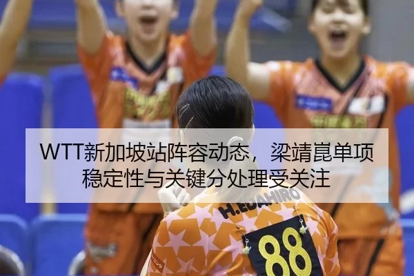 xin-jia-po-zhan-zhen-rong-dong-tai-liang-jing-kun-dan-xiang-wen-ding-xing-yu-guan-jian-fen-chu-li-shou-guan-zhu-3-132.jpg